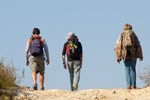 Survival Training